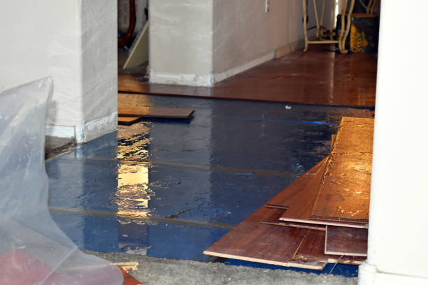 Professional Flood Damage Repair technician working in Milford, MA